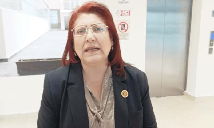 Ana Huerta Diputada