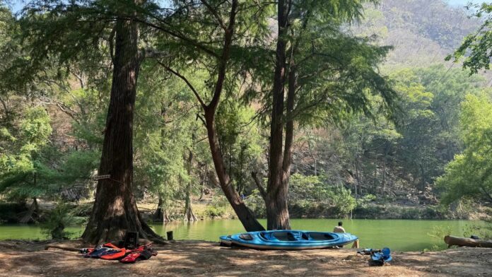 WhatsApp Image 2026-03-25 at 11.12.04 AM