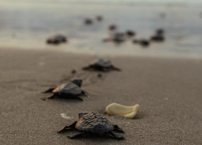 WhatsApp Image 2026-03-26 at 10.19.36 AM