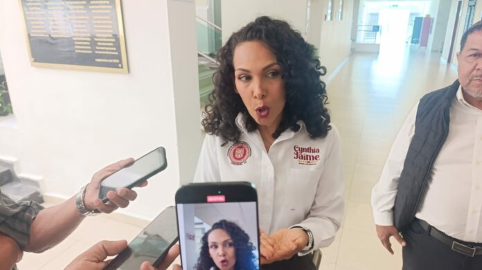 Cynthia Jaime Castillo